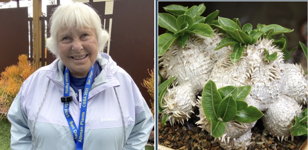 Tina Zucker with Pachypodium brevicaule (c) Debra Lee Baldwin