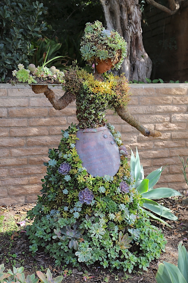Soft-leaved Agave attenuata makes a dramatic bow on a figure's succulent topiary dress