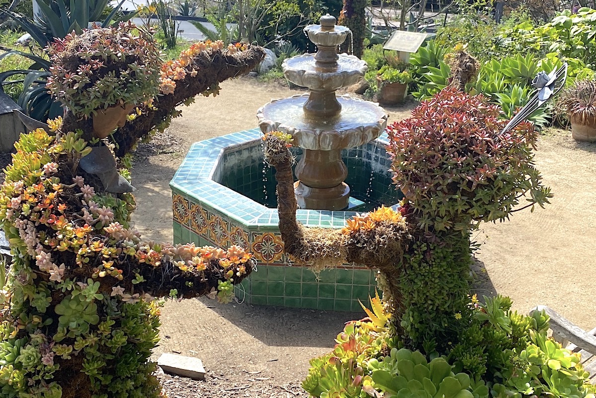 Succulent topiary dancers at the Mexican garden of the San Diego Botanic Garden