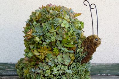 Snail topiary (c) Debra Lee Baldwin