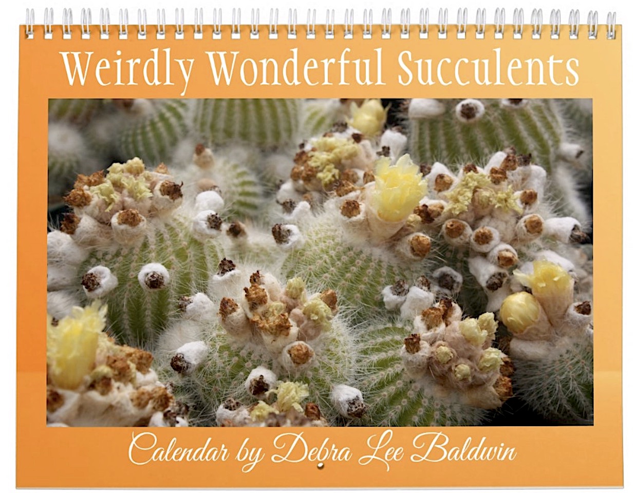 Debra Lee Baldwin's calendar: Weirdly Wonderful Succulents 