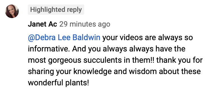 YouTube succulent video accolade