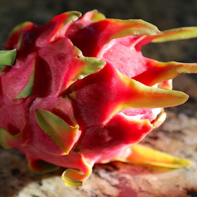 Dragon fruit edible succulent (c) Debra Lee Baldwin