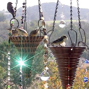 Hanging prism bird feeders (c) Debra Lee Baldwin