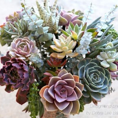 Elaborate succulent bouquet of wired rosettes