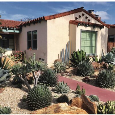 Agave garden by Jeremy Spath (c) Agaves by Jeremy Spath & Jeff Moore