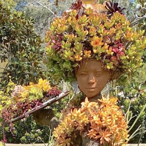 Succulent topiary dancer (c) Debra Lee Baldwin