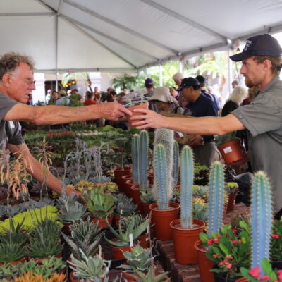 San Diego Cactus & Succulent Show and Sale, vendor area (c) Debra Lee Baldwin
