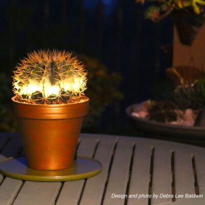 Cactus decorated with lights