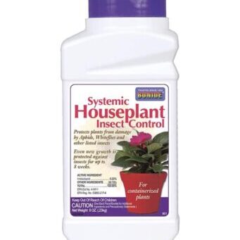 succulent insecticide