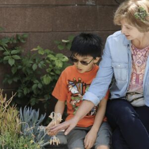 Introduce children to gardening with succulents (c) Debra Lee Baldwin