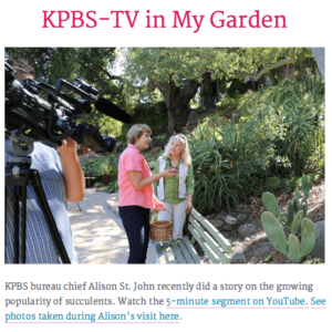KPBS and NPR with Debra Lee Baldwin
