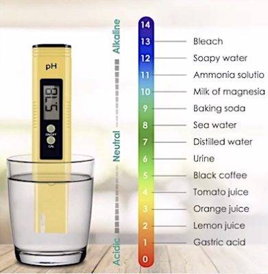 pH meter 